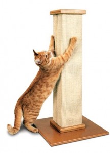 Cat scratching post